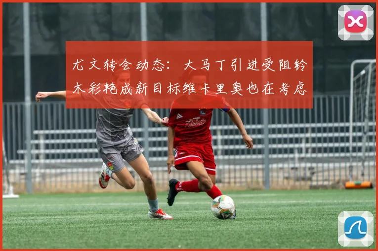 尤文转会动态：大马丁引进受阻铃木彩艳成新目标维卡里奥也在考虑中